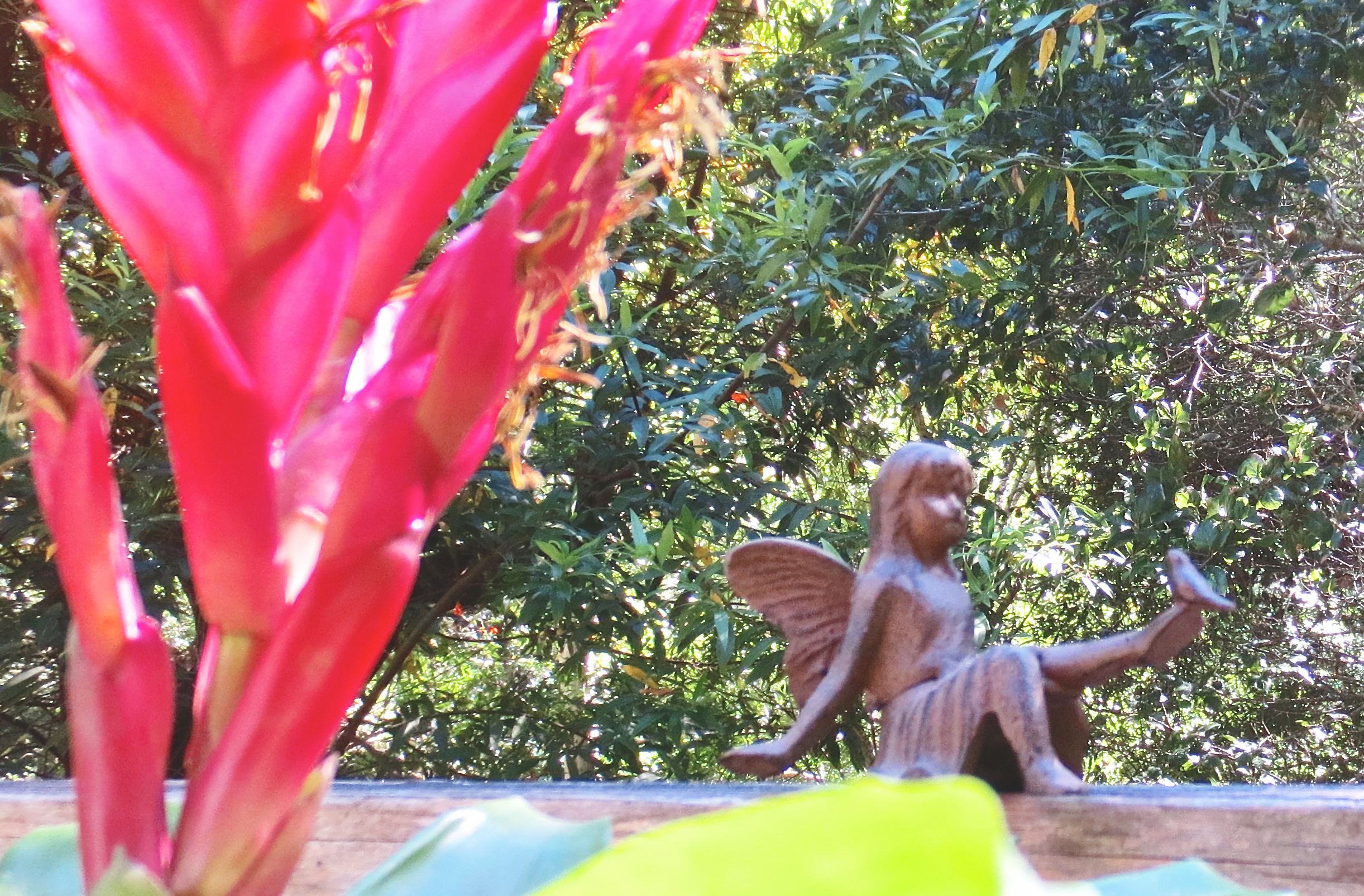 Angel in the garden