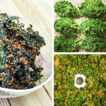 Kale chips before and after